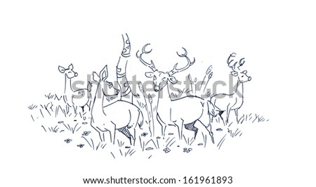 deer group
