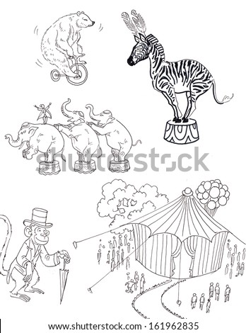 circus animal