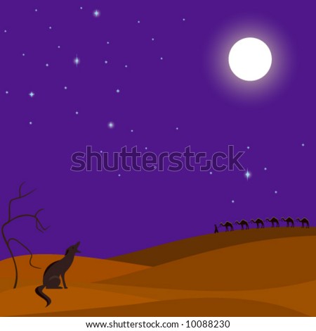 Desert Night Scene