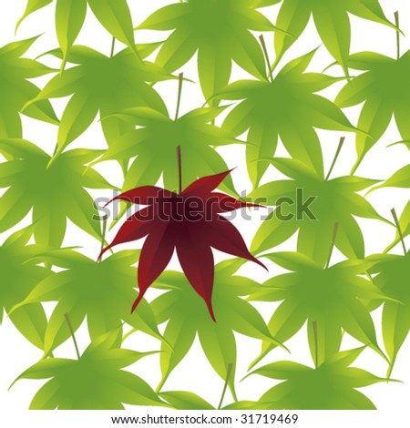 red japanese maple leaves. Bright green Japanese maple