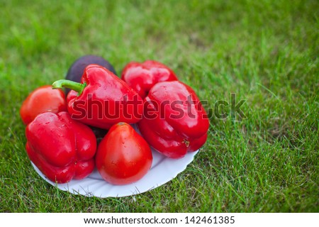 White plate with red peppers on a green grass