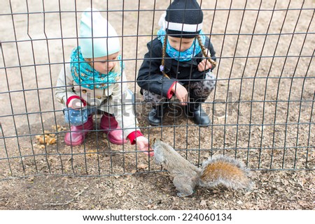 Little girls feeds a squirrel in Central park, New York, America