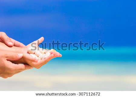 Closeup of hands holding beautiful sea shells background the ocean