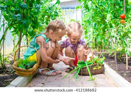 Adorable little girls collecting crop cucumbers and tomatoes in greenhouse