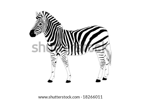 Clip Art Zebra. stock photo : Zebra Clip Art