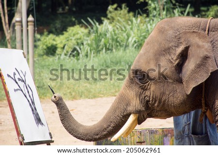 The elephant painting
