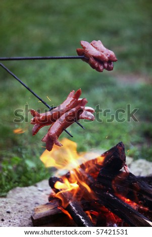 Roasting sausages on campfire in the garden