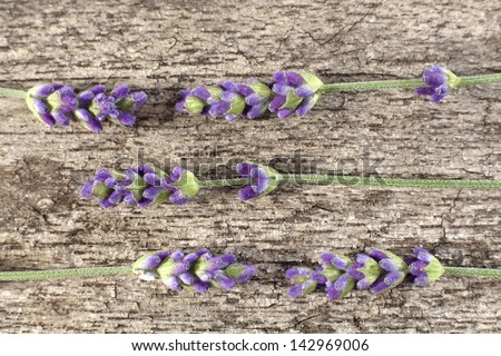 lavender flowers on desk
