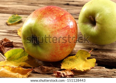 two apples of autumn