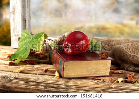 green big leaf and red apple on book