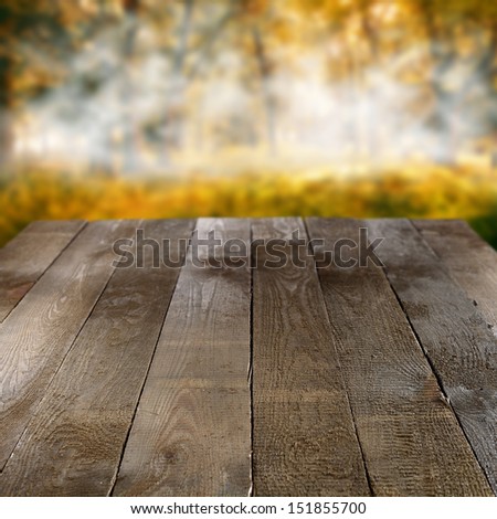forest and old table