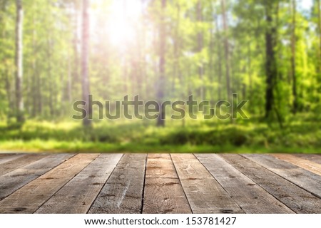 Empty Space Of Green Forest And Sunset