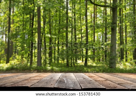 green forest and empty space