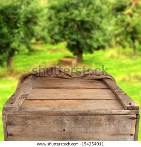 wooden old box and free space