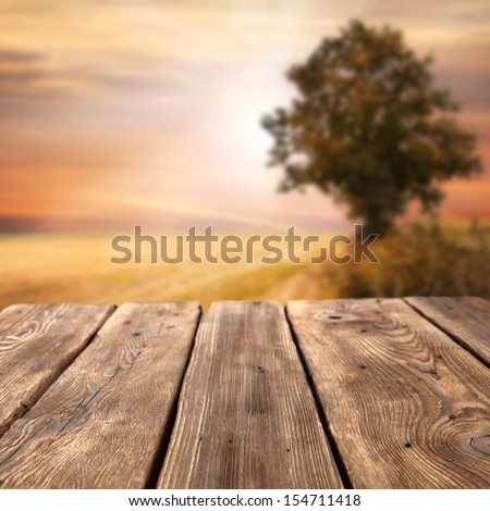 wooden table tree and sunset
