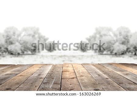 Winter Garden And Wooden Floor