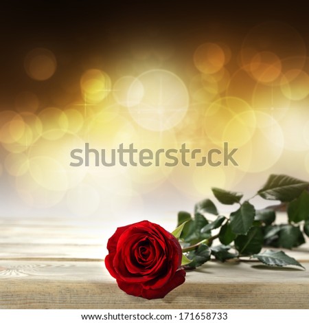 Golden Single Rose On Desk
