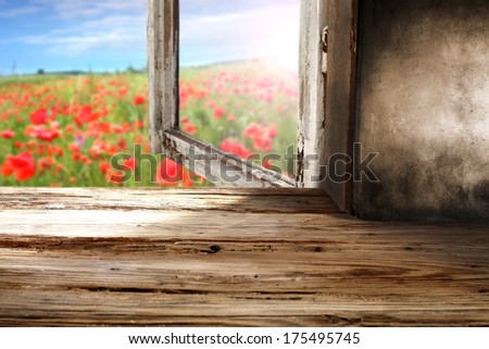 window and red flowers with window sill