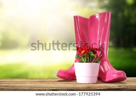 pink pot and flower