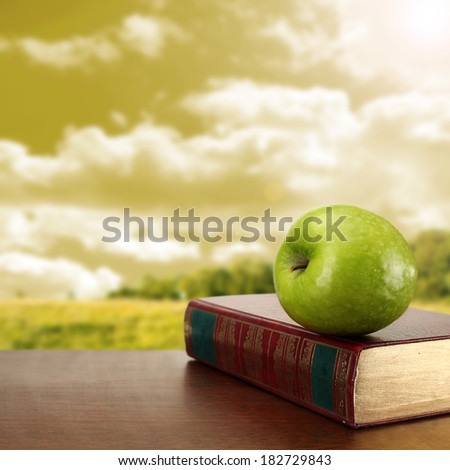 summer sun and apple on desk of brown