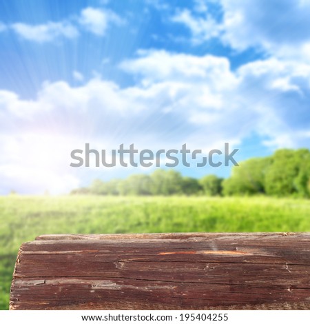 desk of free space and forest of green in summer day
