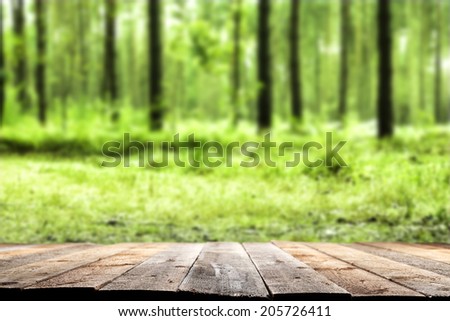 green forest space and floor space