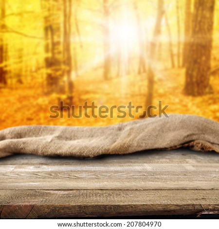 sun forest and sack of brown with forest