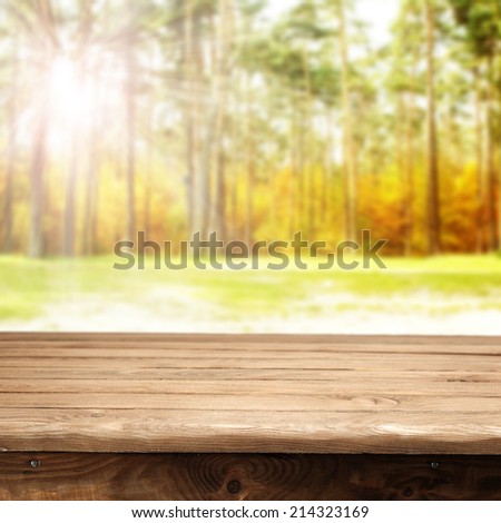 table in golden forest