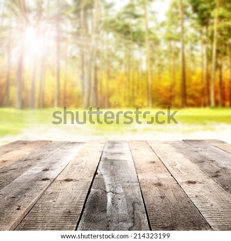 floor of wood in golden forest and sun space