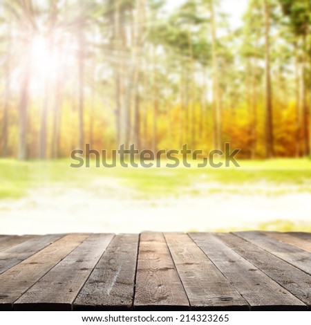 floor in golden forest