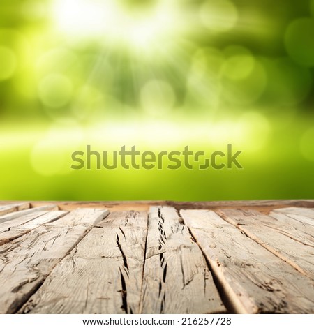 floor of wood and garden