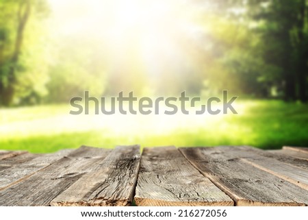 sunny day in forest and wooden old table space