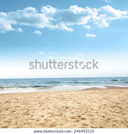 beach of sand and sea