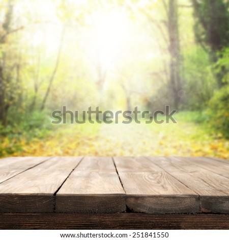green garden landscape and sunny day with your free space on table