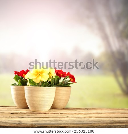 three flowers on desk space