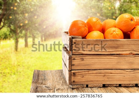 color of orange fruits in box