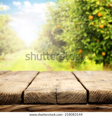 worn old table of free space and garden of summer time