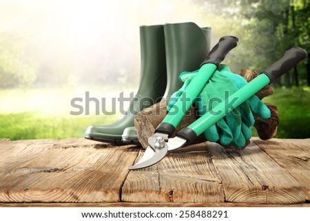 table of wood and tools of garden in spring time