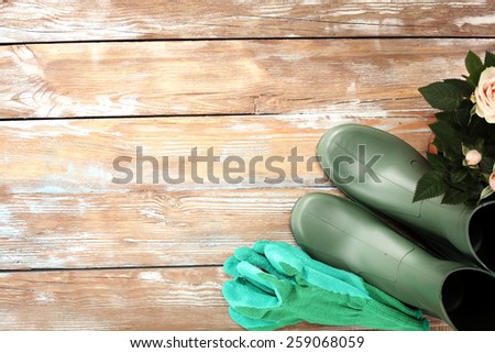 worn old wooden floor and green shoes of spring
