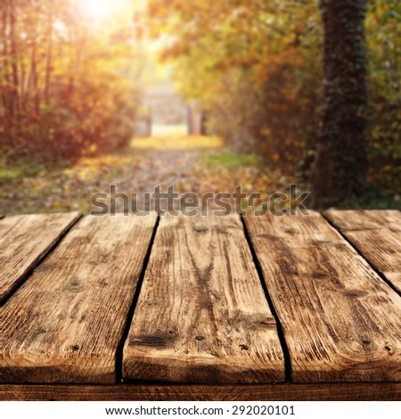 sunset in autumn forest and dirty table
