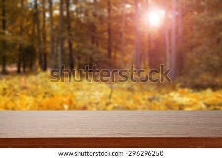 brown desk top and autumn of sun