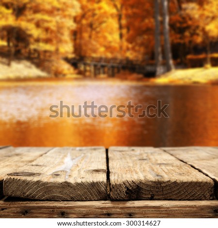 autumn forest closeup of wooden board and lake
