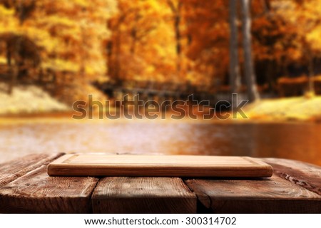 kitchen desk in forest on red table