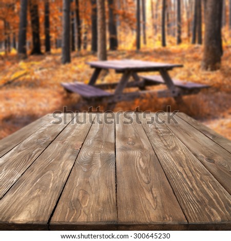 big table and old forest with big trees