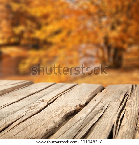 free space on wooden old pier and forest of golden autumn