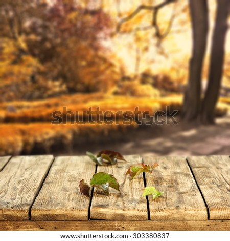 few autumn leaves and tree of autumn garden decoration