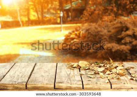autumn garden place leaves of brown color and sun light