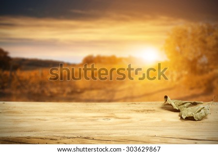 autumn sunset and landscape with two leaves of dark green color and space for you