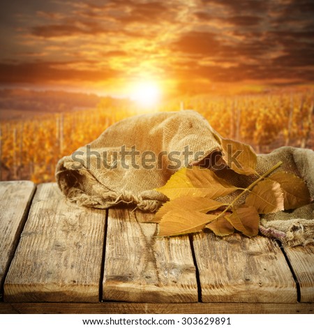 autumn sunset and landscape with golden big leaves of placen and tablecloth