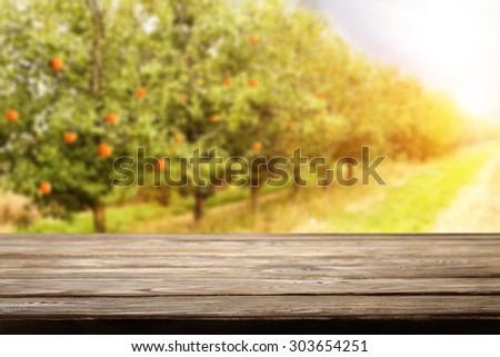 brown desk top orange fruits on trees and sun light space